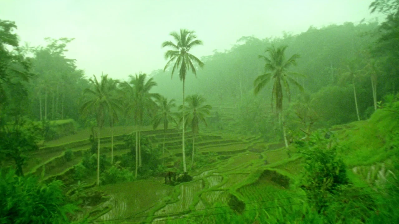 Ubud, das kulturelle Herz im Hochland Balis