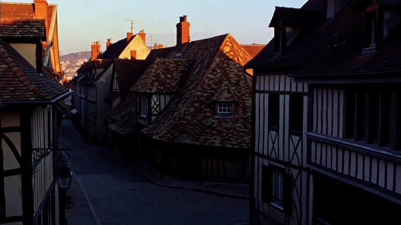 Dijon Sehenswürdigkeiten und die Herzogsstadt