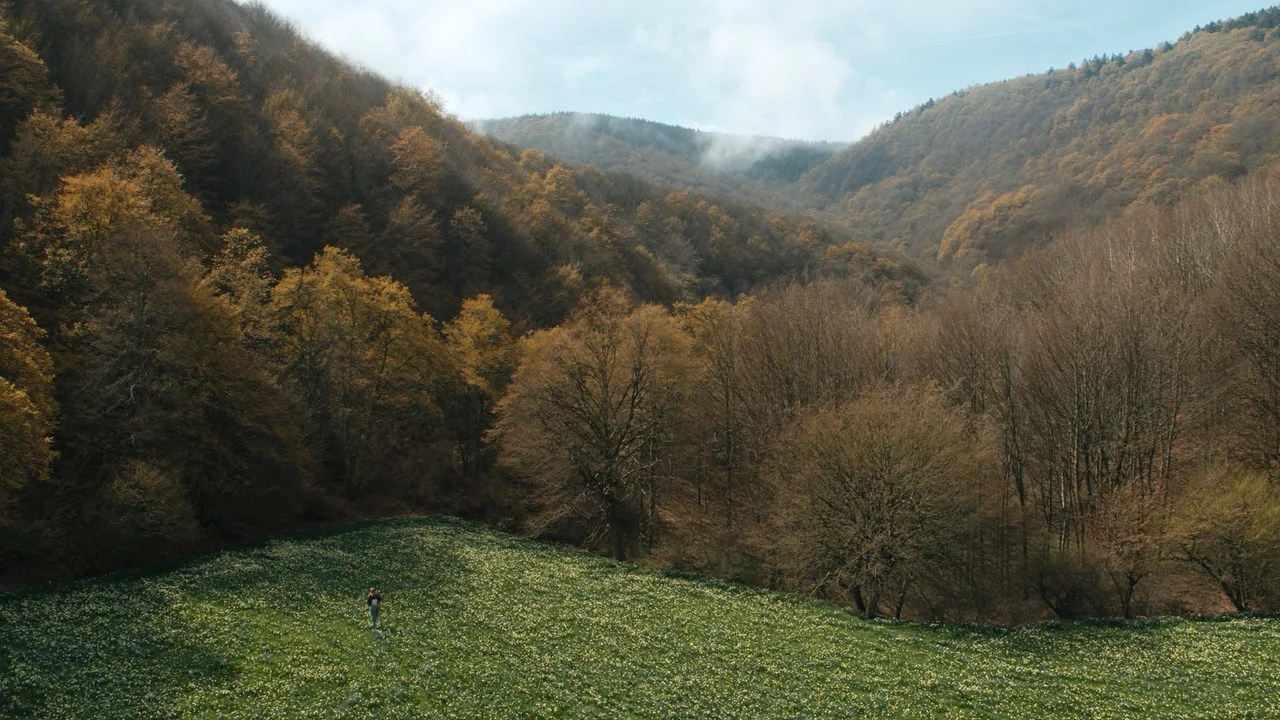 Nationalpark Eifel und Rursee: Wildnis mit Seeblick