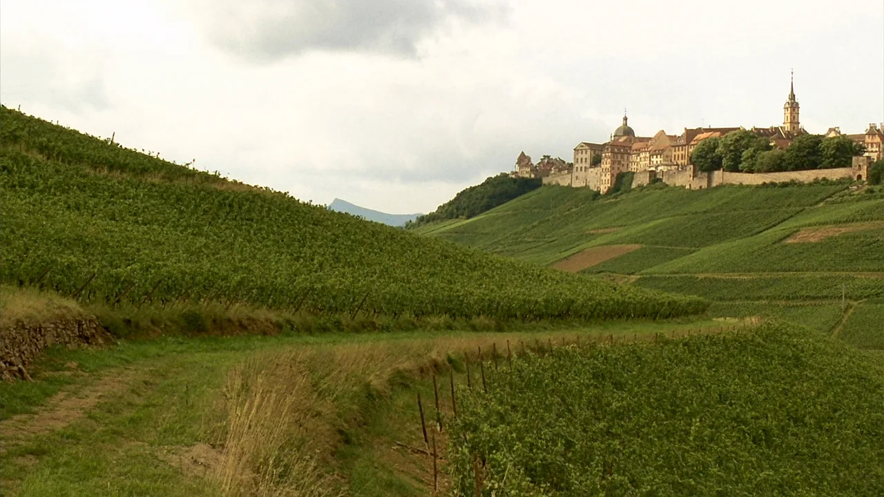 Riquewihr, Eguisheim und die schönsten Dörfer des Elsass