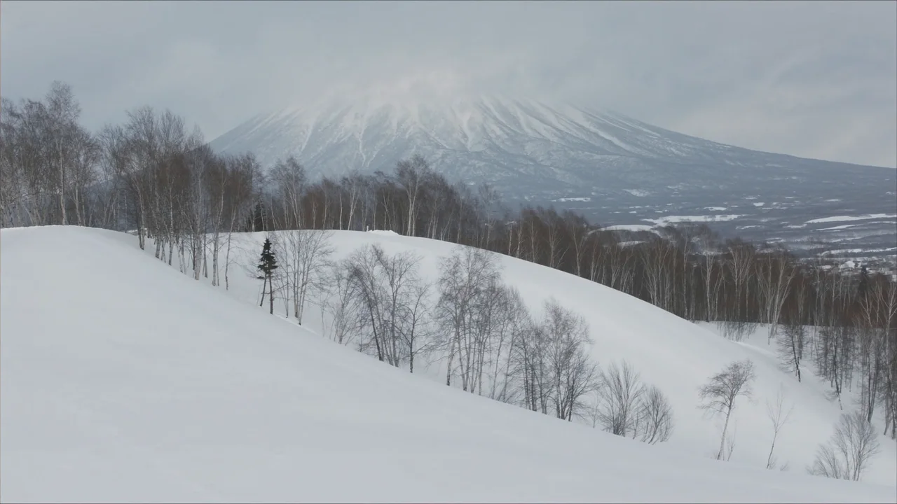 Pulverschnee in Niseko