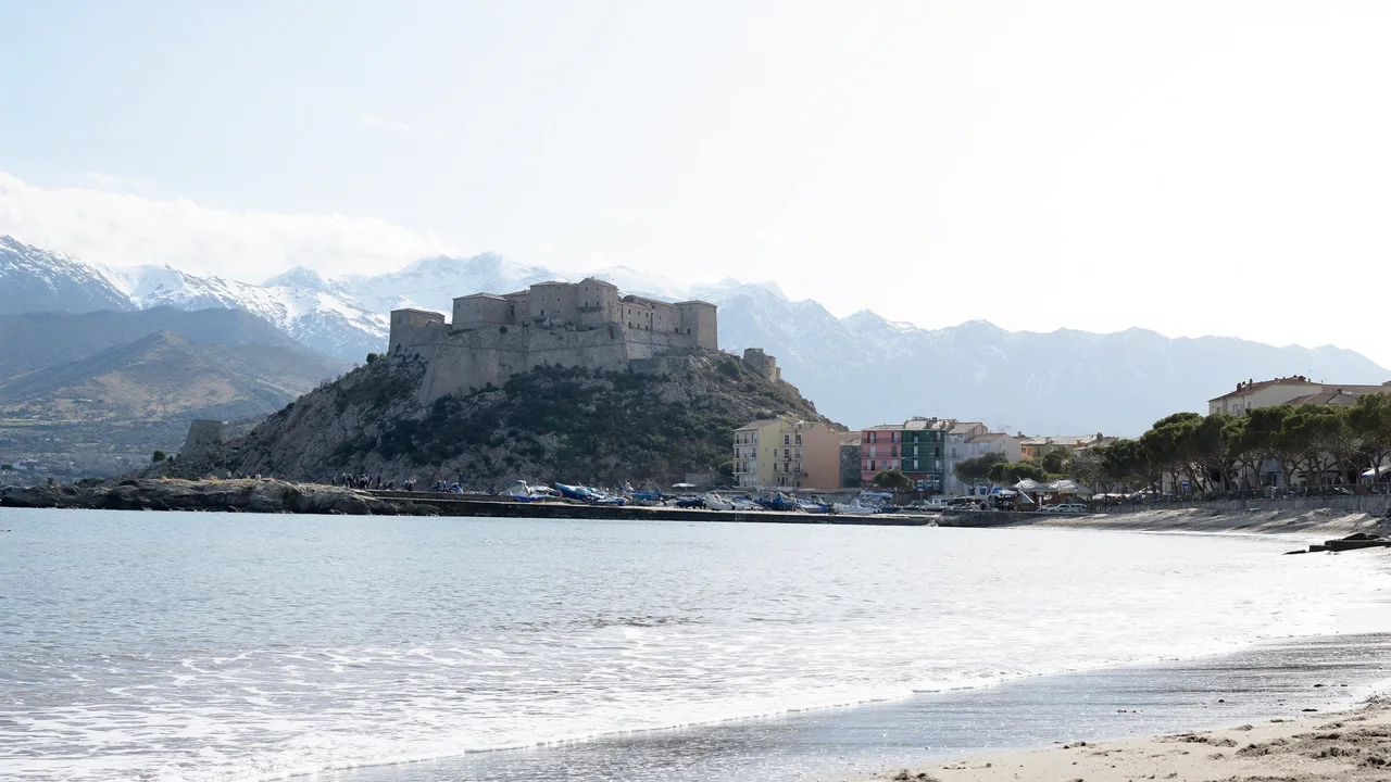 Calvi