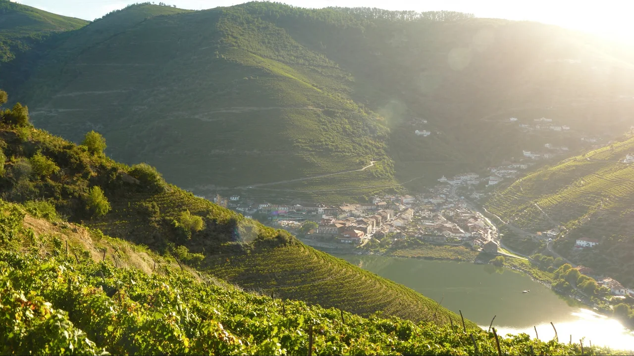 Das Dourotal und die älteste Weinregion der Welt
