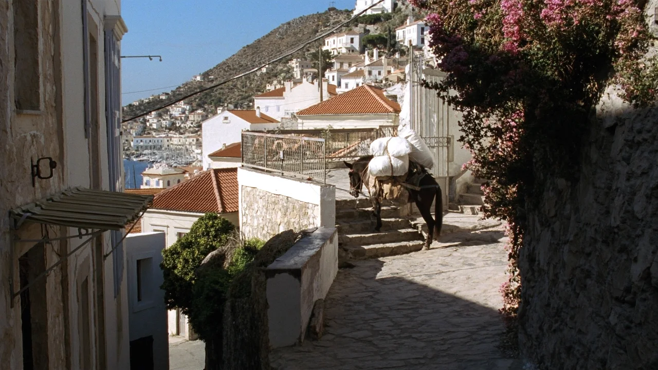 Hydra