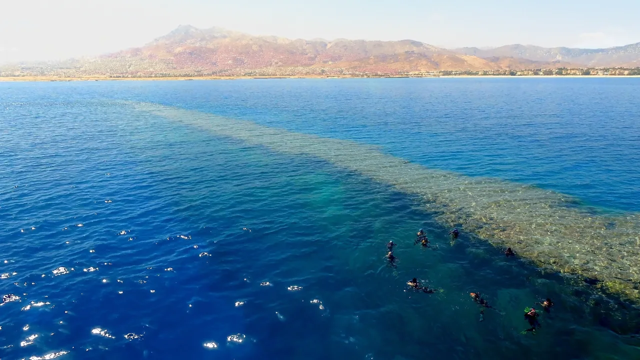 Tauchen und Schnorcheln im Roten Meer vor Sharm El Sheikh