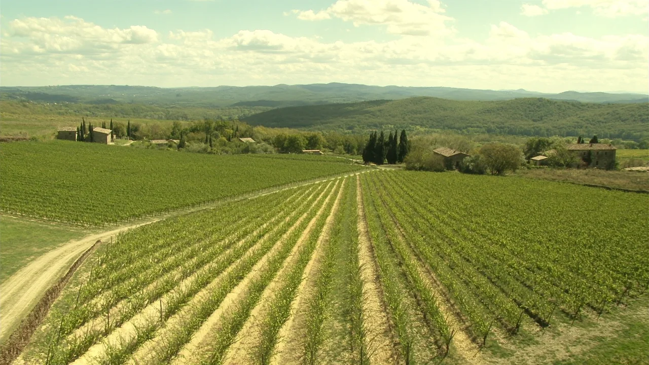 Chianti, Brunello und die Weinstraßen der Toskana