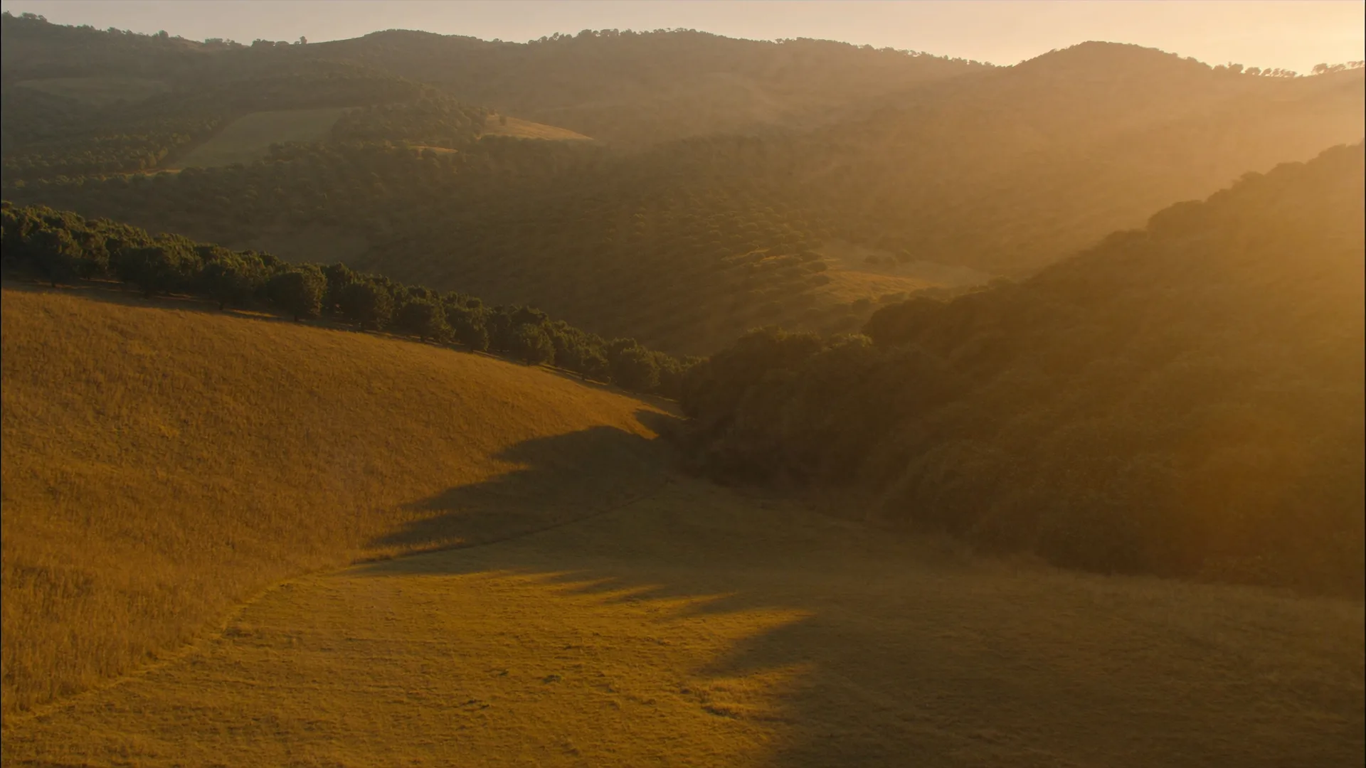 Alentejo.