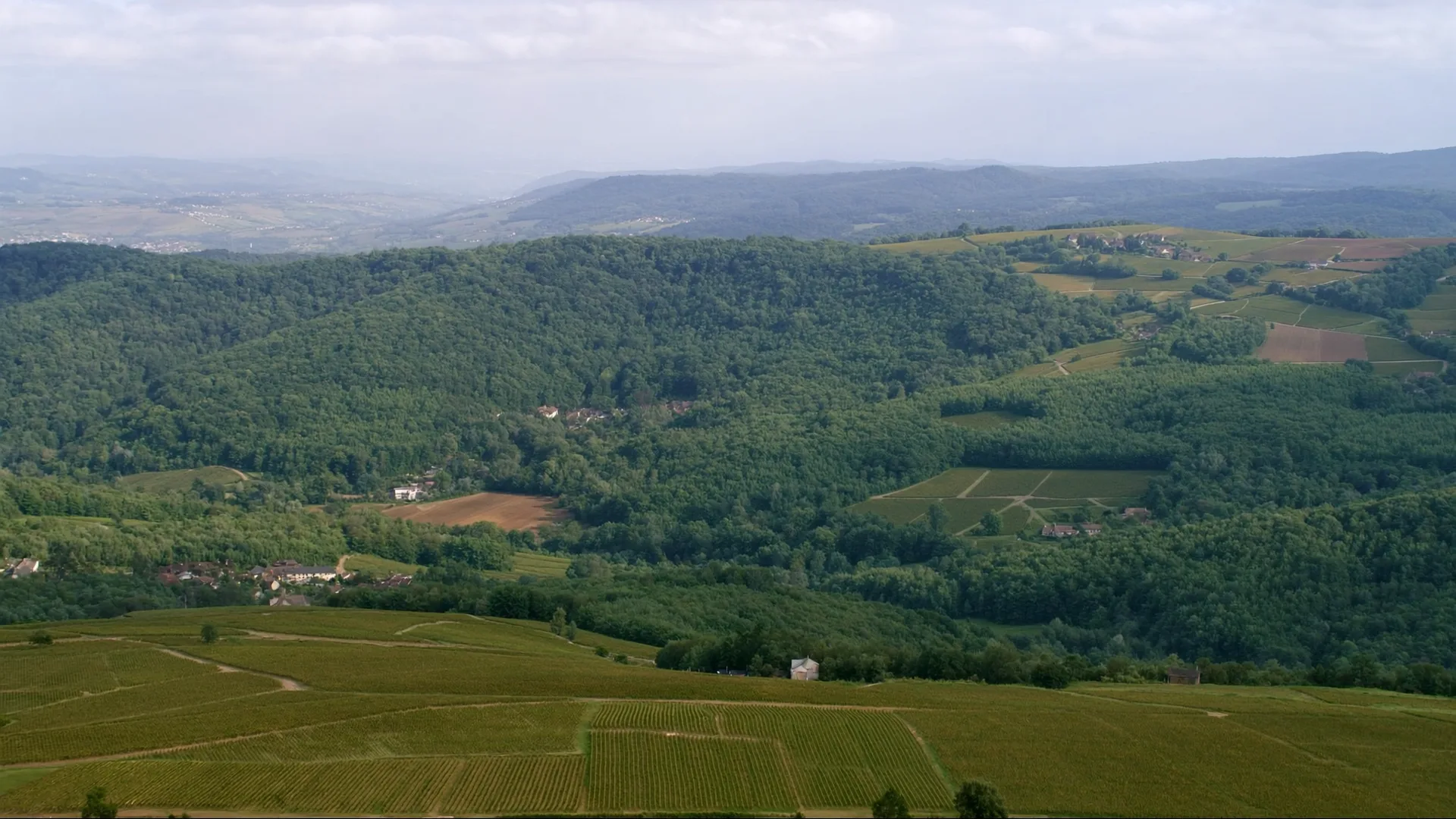 Burgund