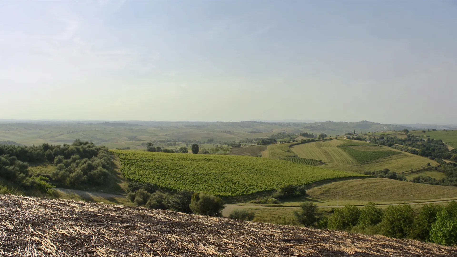 Emilia-Romagna.