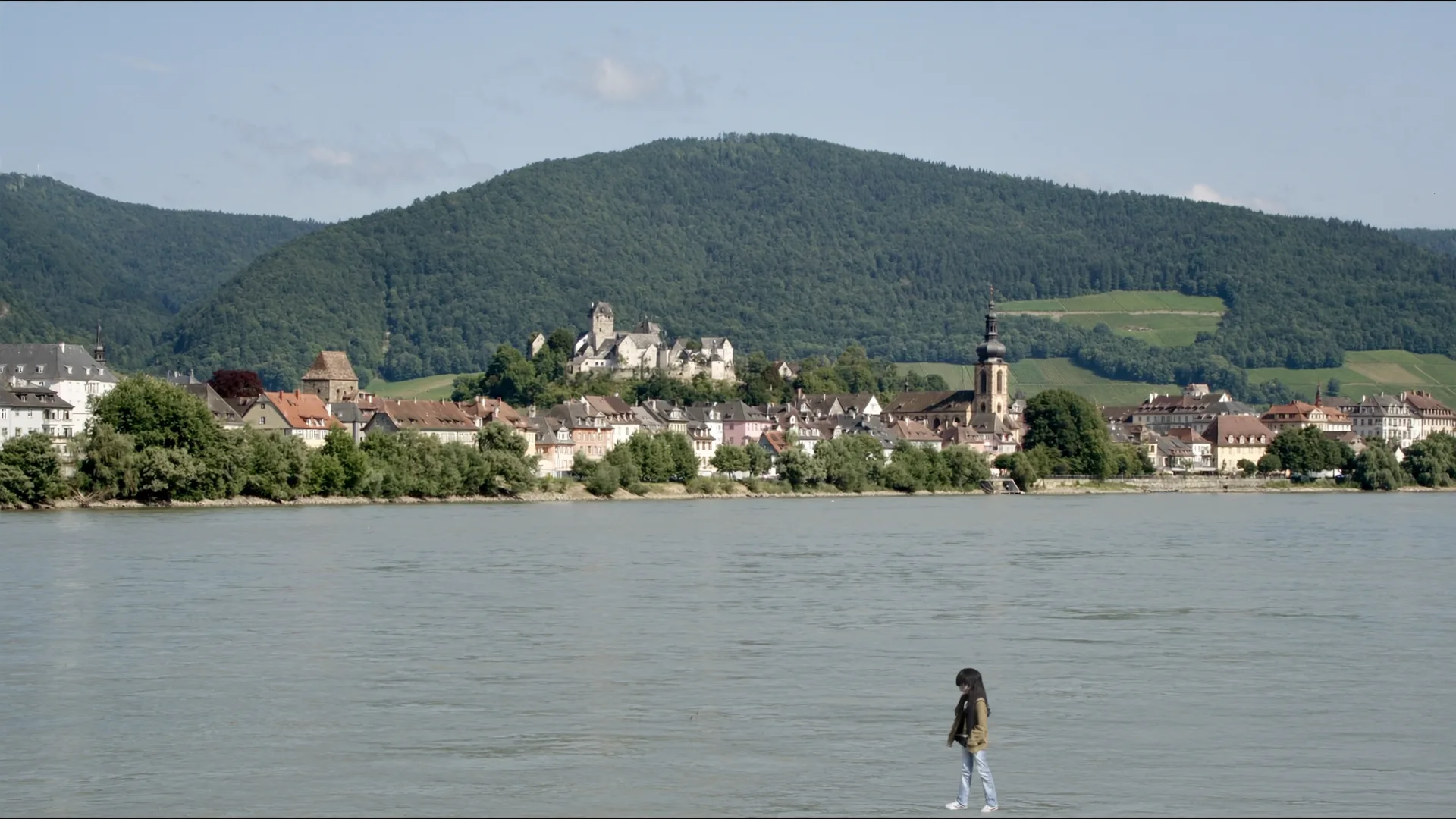 Niederösterreich.