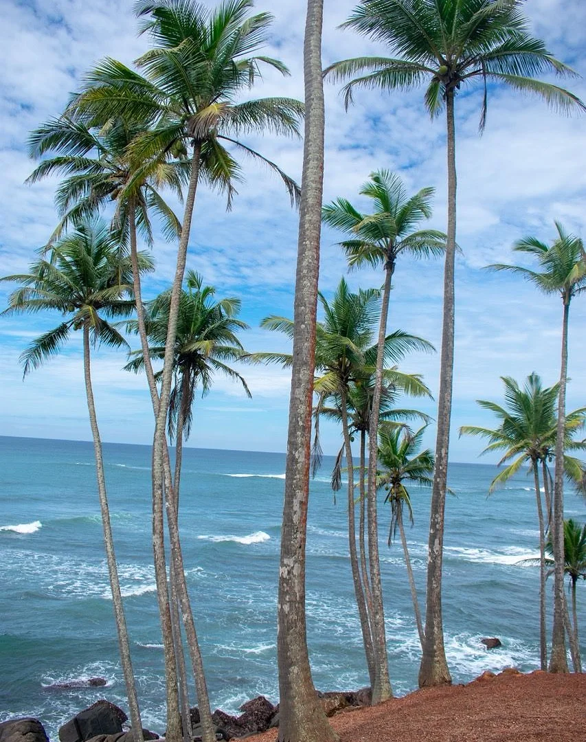 Sri Lanka Visum kostenlos ab 25. Mai 2026: Was die gebührenfreie ETA für deutsche Reisende wirklich bedeutet