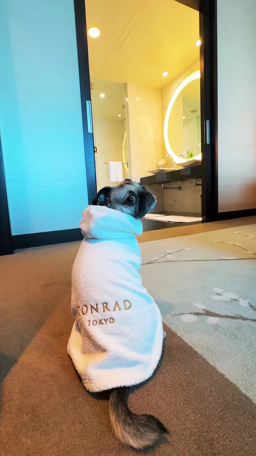 Conrad Tokyo