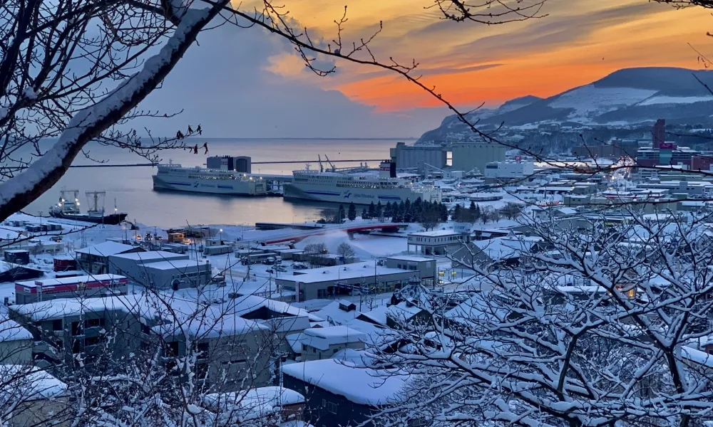 Morinoki Guest House