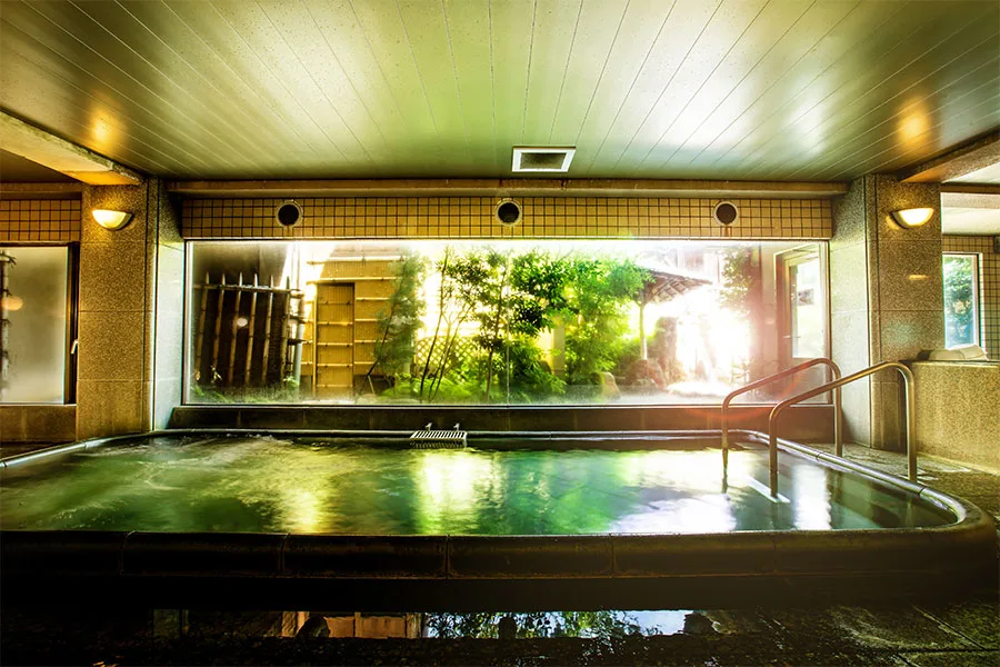 Nara Park Hotel