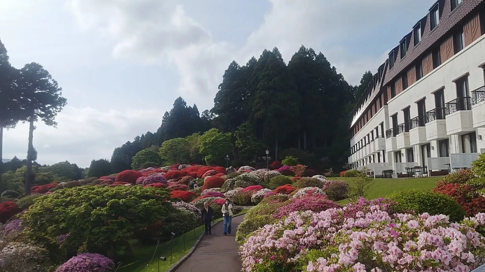 Odakyu Hotel de Yama