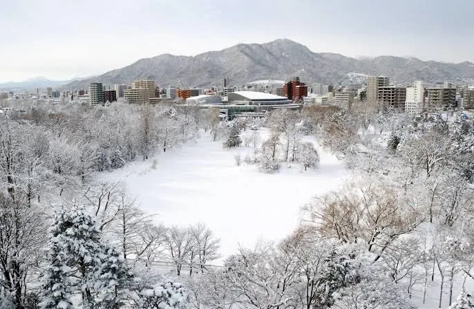 Sapporo Park Hotel