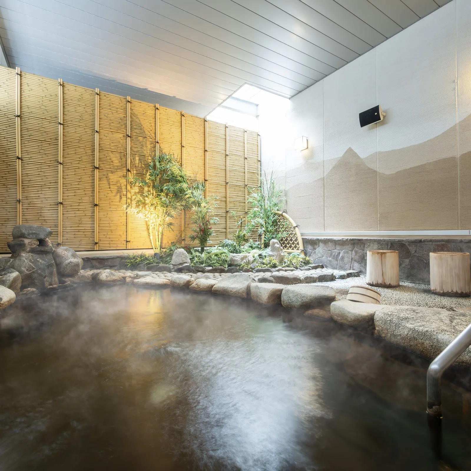 SUPER HOTEL Premier JR Nara Station
