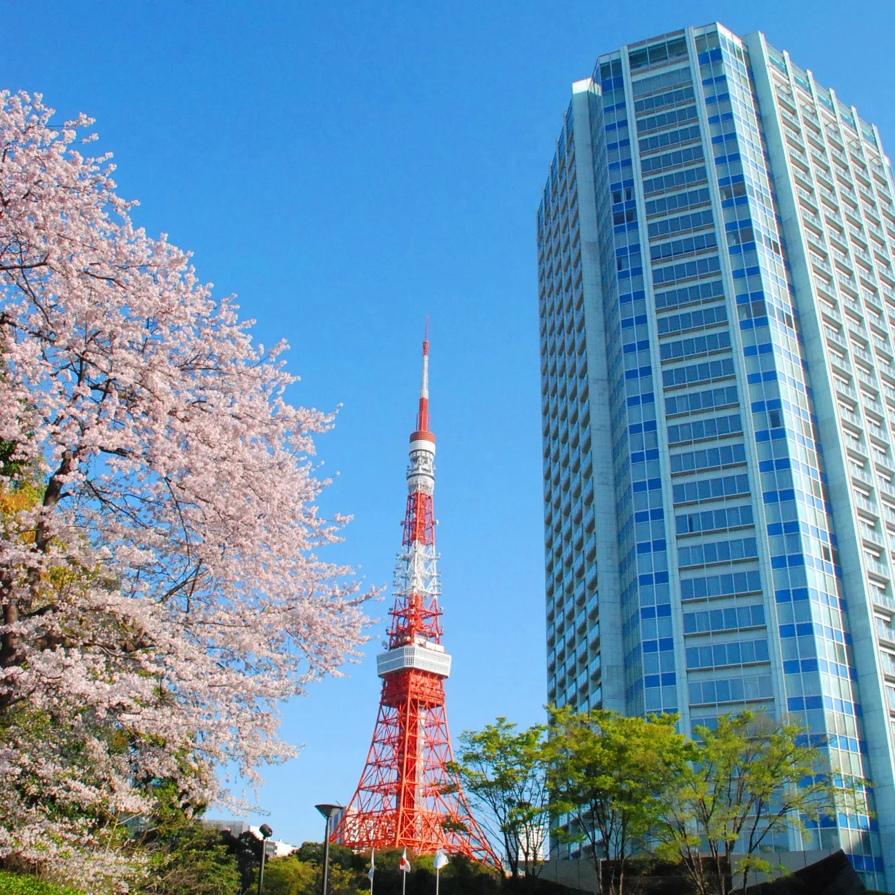 The Prince Park Tower Tokyo