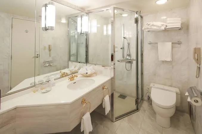 Tokyo Dai-ichi Hotel Nishiki
