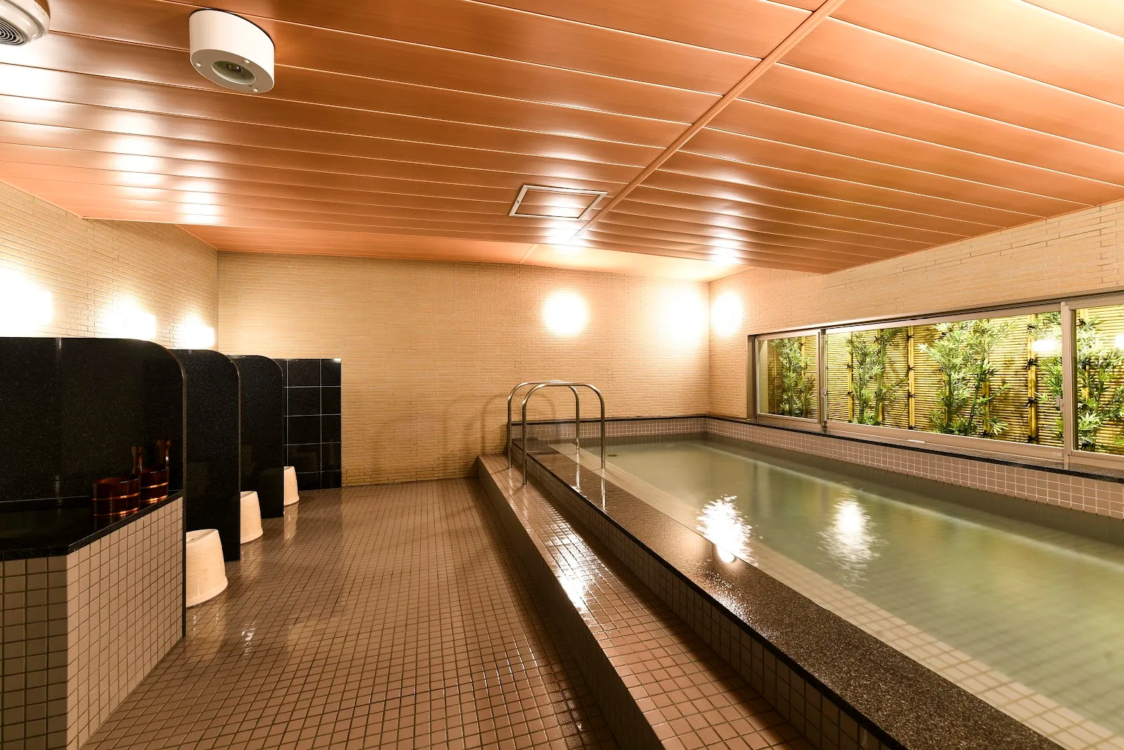 Washington Hotel Plaza Hida Takayama